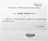 Puccinia dioicae image